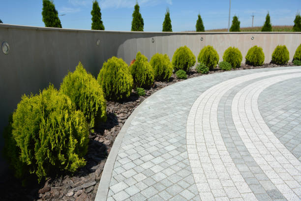 Best Commercial Driveway Pavers  in Castle Rock, WA